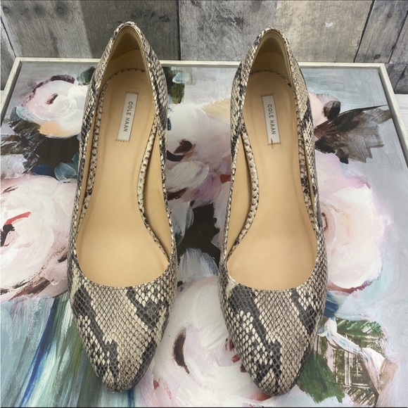 Cole Haan Harlow Snakeskin Embossed Leather Heels Size 9.5 - Picture 2 of 14